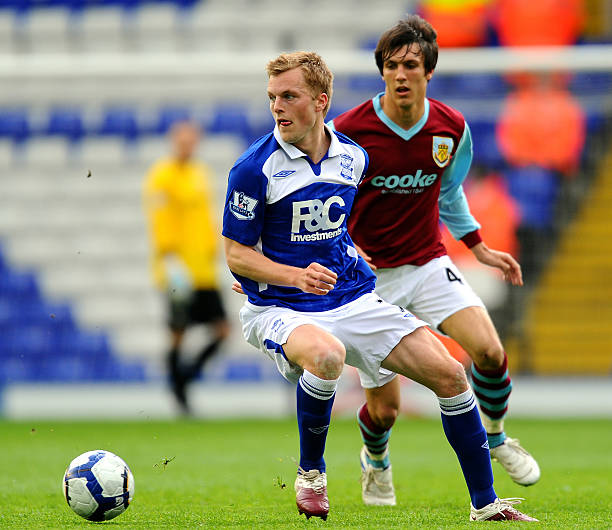 莱奥尼的青 莱奥尼的青